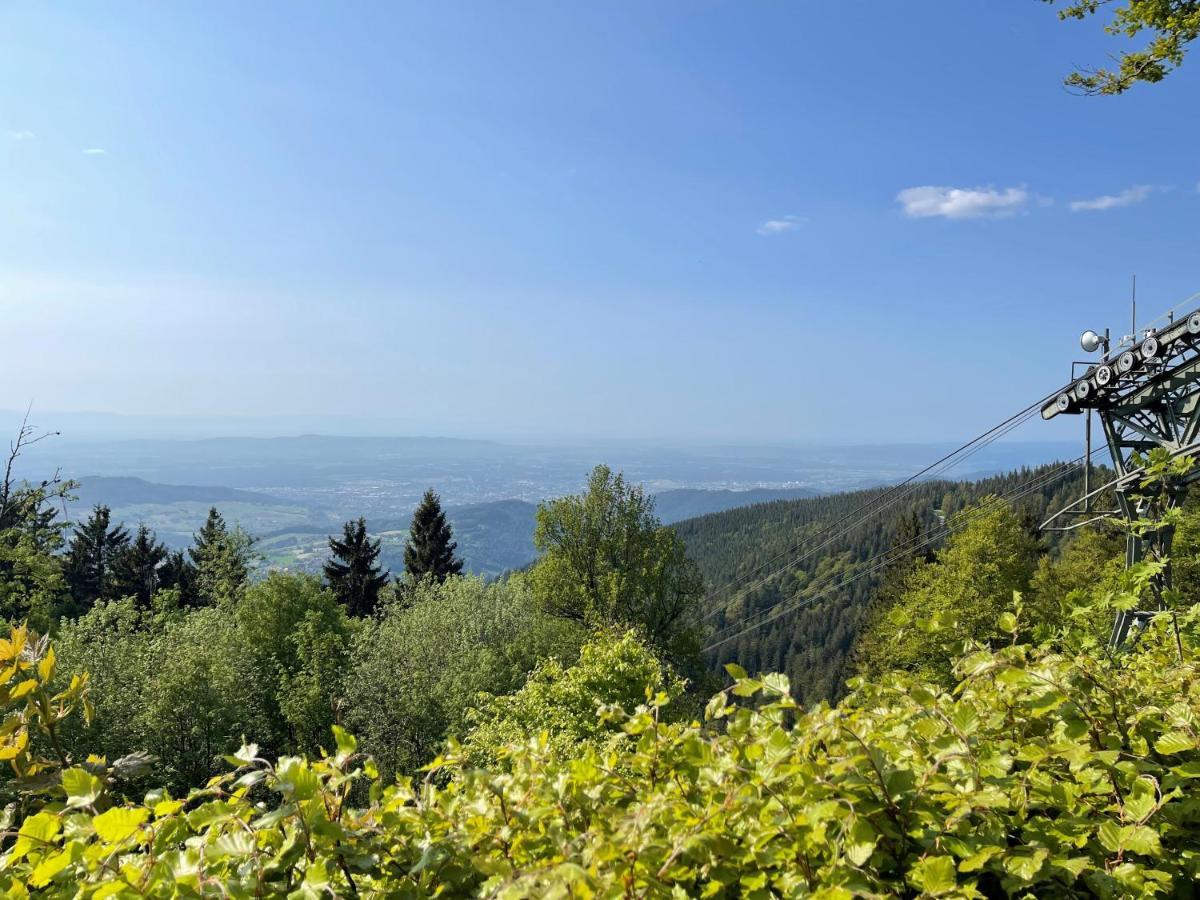 Neue Ferienwohnung Mit Whirlpool Und Sauna In Der Residenz Grafenmatt Inklusive Hochschwarzwaldcard Feldberg  Luaran gambar