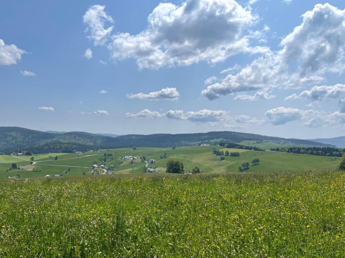 Neue Ferienwohnung Mit Whirlpool Und Sauna In Der Residenz Grafenmatt Inklusive Hochschwarzwaldcard Feldberg  Luaran gambar