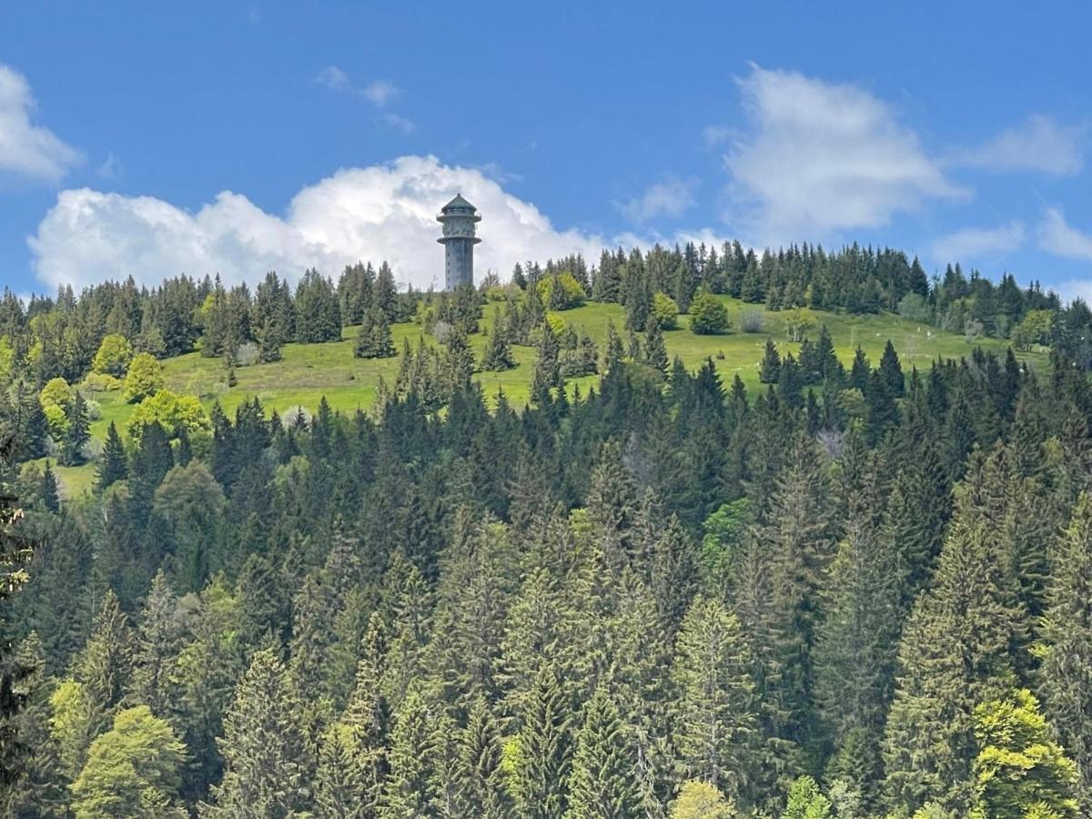 Neue Ferienwohnung Mit Whirlpool Und Sauna In Der Residenz Grafenmatt Inklusive Hochschwarzwaldcard Feldberg  Luaran gambar