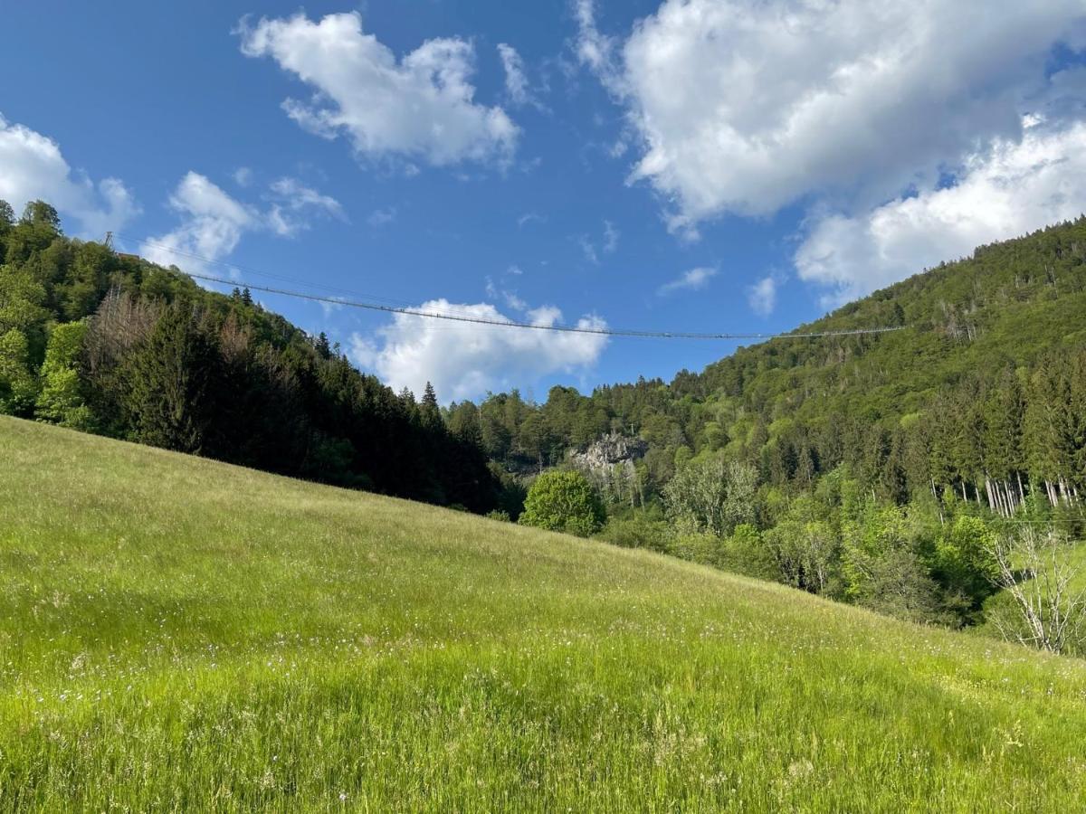 Neue Ferienwohnung Mit Whirlpool Und Sauna In Der Residenz Grafenmatt Inklusive Hochschwarzwaldcard Feldberg  Luaran gambar